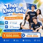 Kiến Tạo Tương Lai Cùng Vietfuture Summer Camp 2026: 72 Giờ Bứt Phá Mọi Giới Hạn 3