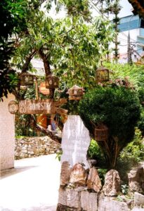 Top 6 mô hình homestay Nha Trang decor xinh chuẩn xu hướng nghỉ dưỡng xanh - thông tin du lịch nha trang
